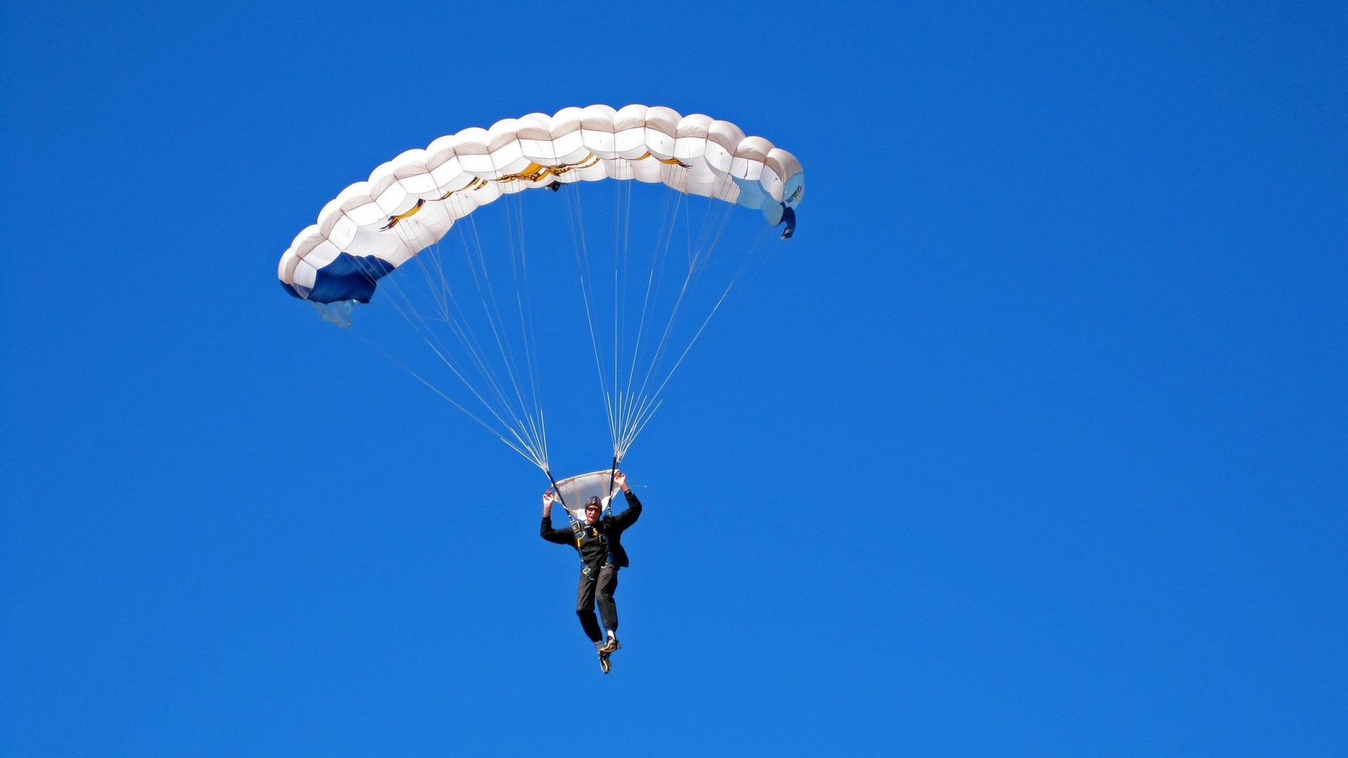 球迷文化塑造赛场灵魂，从助威到公益，看现代体育的温情力量